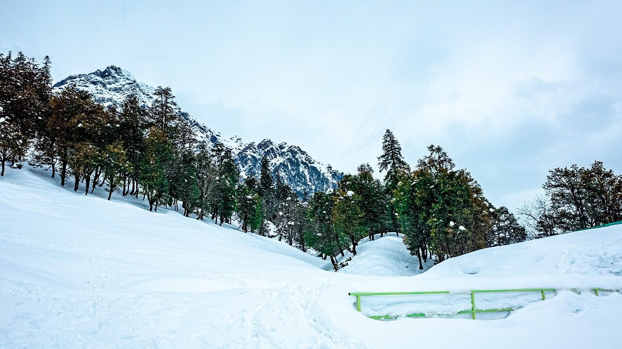 manali, himachal pradesh, himalayas