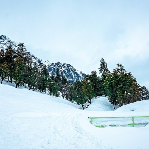 manali, himachal pradesh, himalayas