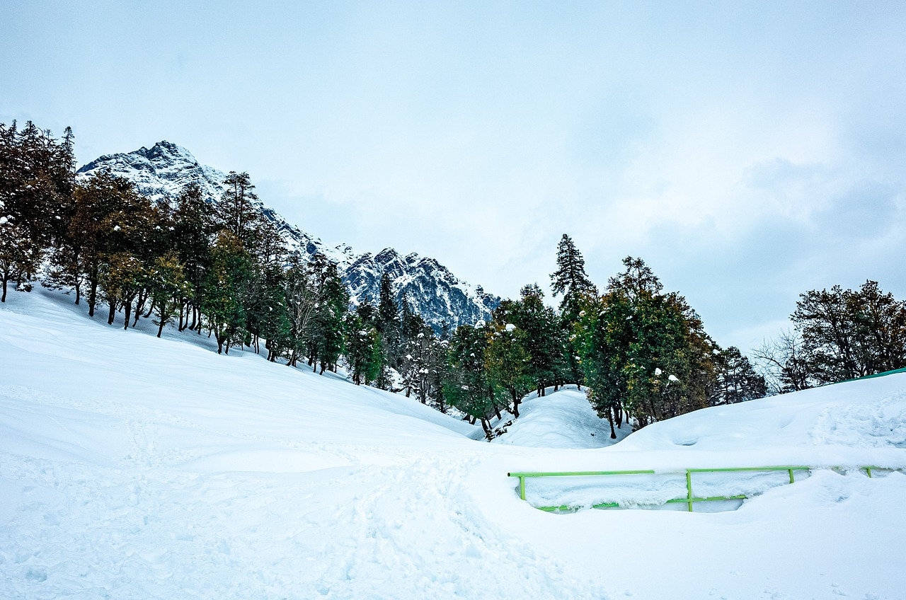 manali, himachal pradesh, himalayas