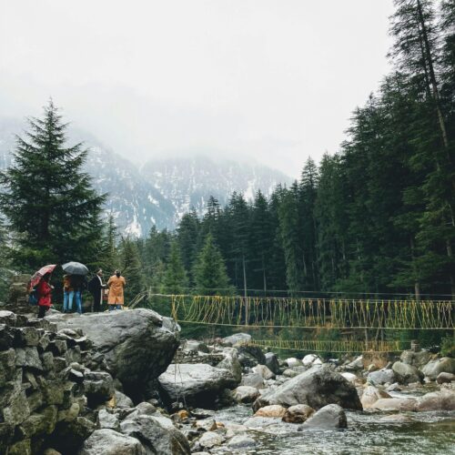 Green Trees Beside the Rocky River