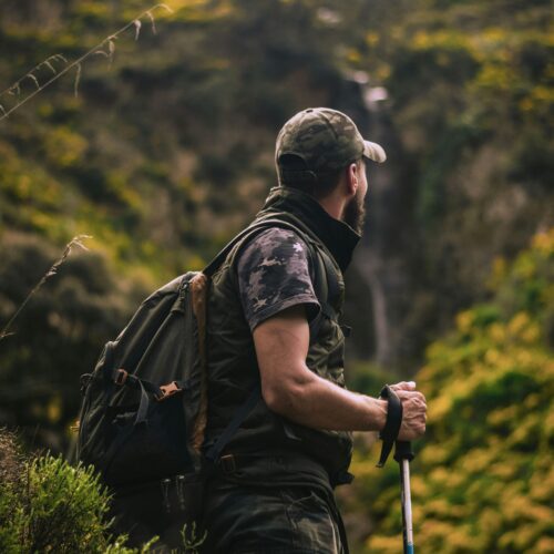 Man Wearing Cap and Crew-neck Shirt Standing in the Middle of Forest